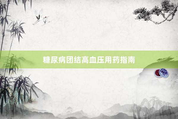 糖尿病团结高血压用药指南